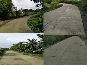 Upgrading of .460 km. Estaca to San Isidro Local Access Road located at Barangay Estaca & San Isidro, Pilar, Bohol